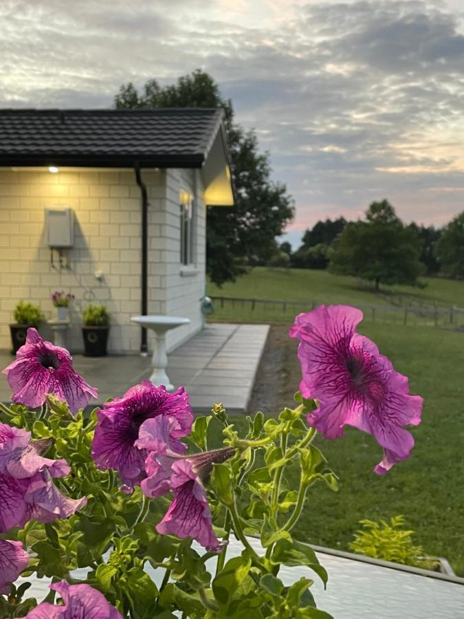 Veld View Bed And Breakfast Tuakau Exterior foto
